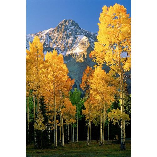 A mountain actually named unnamed 13334 flanked by Fall Aspen trees in the Colorado Rocky Mountains
